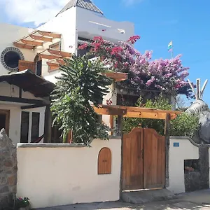 Alma De Cedrela Apartment