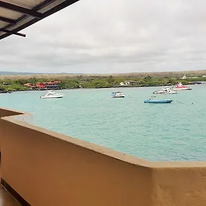 Estrella De Mar Puerto Ayora (Galapagos Islands)